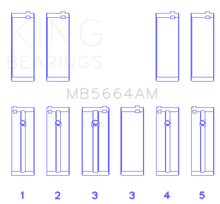 Load image into Gallery viewer, Photo - Primary