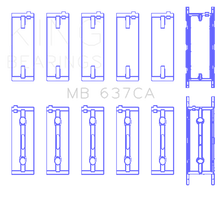 Load image into Gallery viewer, Photo - Primary