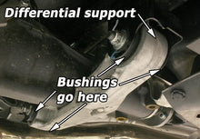 Load image into Gallery viewer, Photo - Primary