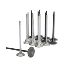 Load image into Gallery viewer, User 1