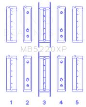 Load image into Gallery viewer, Photo - Primary