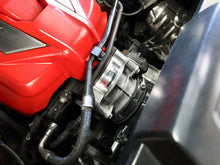 Load image into Gallery viewer, Photo - Mounted