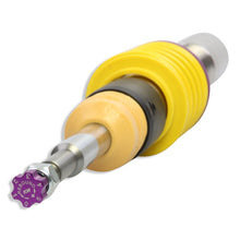 Load image into Gallery viewer, User 6