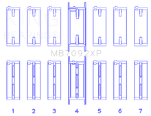 Load image into Gallery viewer, Photo - Primary