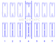 Load image into Gallery viewer, Photo - Primary