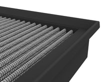 Load image into Gallery viewer, Photo - Close Up