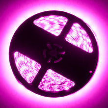 Load image into Gallery viewer, User 1