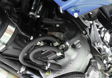 Load image into Gallery viewer, Photo - Primary