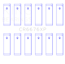 Load image into Gallery viewer, Photo - Primary