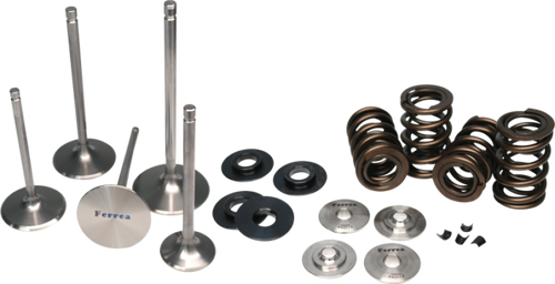 Ferrea Nissan GT-R VR38DETT Dual Spring Kit