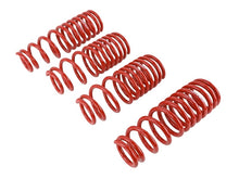 Load image into Gallery viewer, Skunk2 94-01 Acura Integra Lowering Springs (2.50in - 2.25in.) (Set of 4)