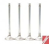 GSC P-D Honda B-Series B16A/B17A/B18C Chrome Alloy Exhaust Valve 28mm Head - 6mm Stem - Set of 8