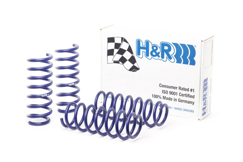 H&R 11-16 BMW 528i/535i F10 OE Sport Spring