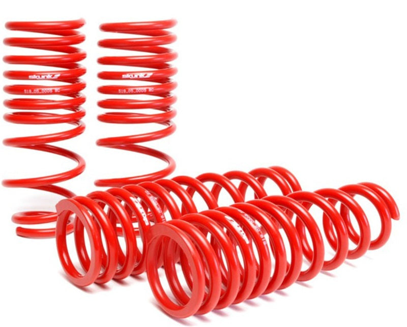 Skunk2 94-01 Acura Integra Lowering Springs (2.50in - 2.25in.) (Set of 4)